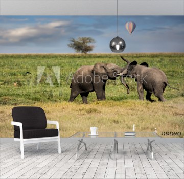 Picture of Two young elephants playing with a hot air balloon in the background